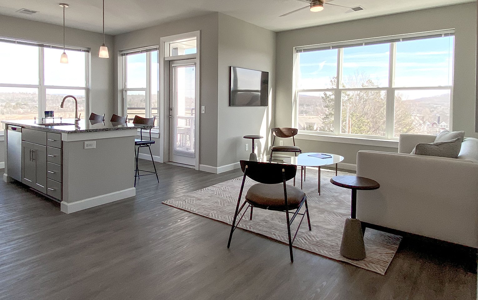 Living Room and kitchen